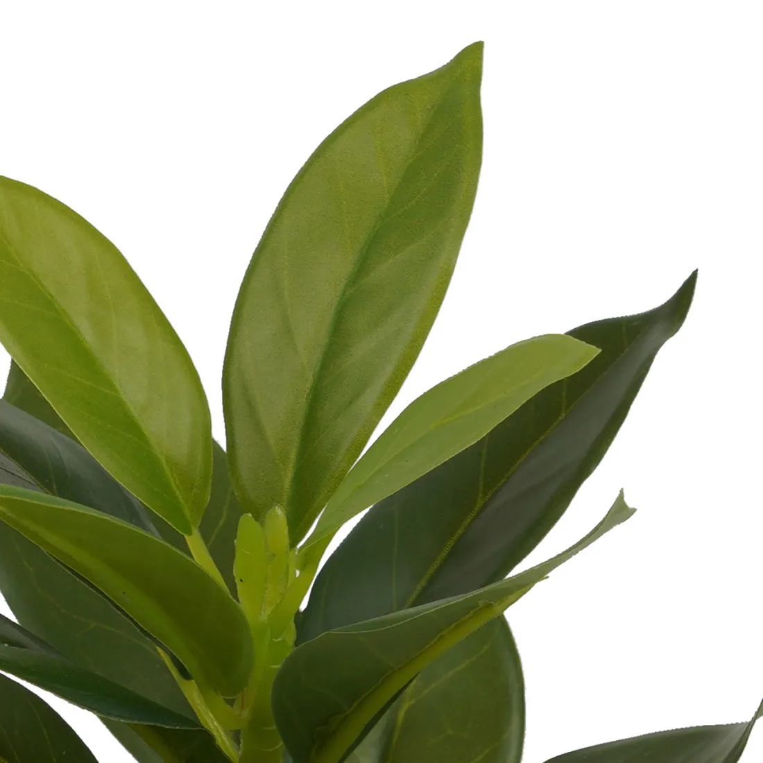 feuilles Mini plante artificielle 21 cm en pot ficus artificiel