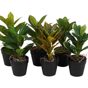 Mini plante artificielle 21 cm en pot