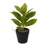 Mini plante artificielle 21 cm en pot - croton moucheté