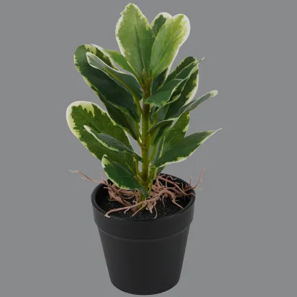 Mini plante artificielle 21 cm en pot pittosporum artificiel panaché