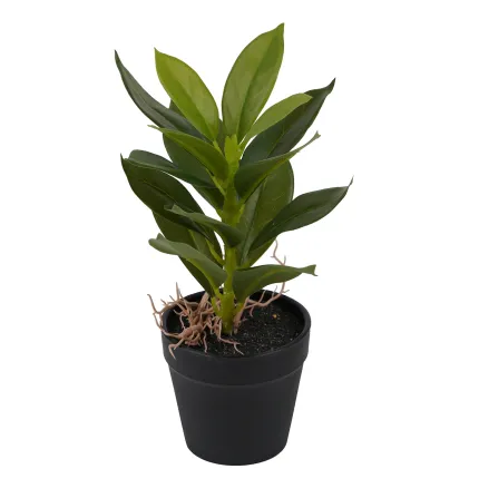 Mini plante artificielle 21 cm en pot ficus artificiel