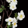 Branche de CERISIER artificiel 49 cm blanc - fleurs