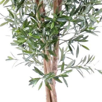 OLIVIER artificiel new large 210 cm tronc