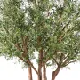 OLIVIER NC artificiel 330 cm - feuillage