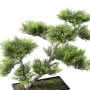 feuilles et tronc BONSAI artificiel CONIFERE 40 cm