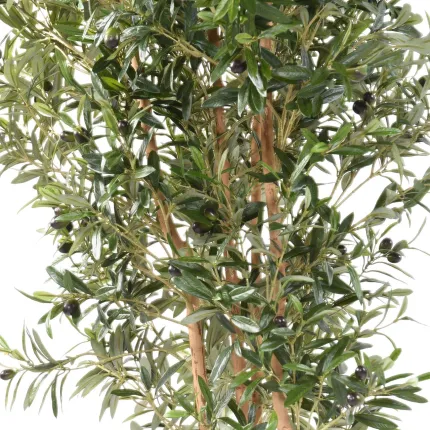 OLIVIER artificiel racines aériennes 175 cm - feuillage