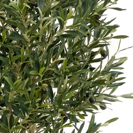 OLIVIER artificiel NEW tronc noueux 120 à 210 cm  (olives noires) - feuillage