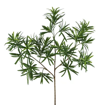 branche artificielle PODOCARPUS 65 cm