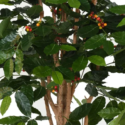 CAFEIER artificiel FLEURS  TRONCS NOUEUX  150 et 175 cm - tronc et feuillage