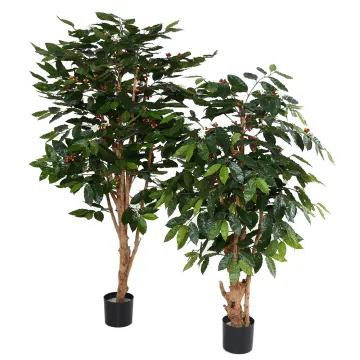 CAFEIER artificiel FLEURS  TRONCS NOUEUX  150 et 175 cm