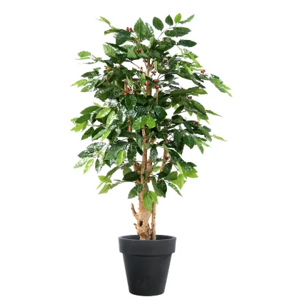 CAFEIER artificiel FLEURS  TRONCS NOUEUX  150 cm  - en pot