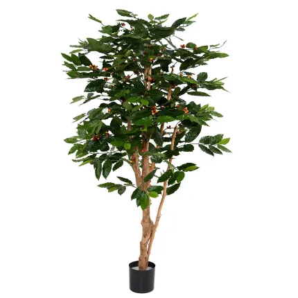 CAFEIER artificiel FLEURS  TRONCS NOUEUX 175 cm