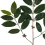 branche artificielle CAFEIER 80 cm - fruit et fleur