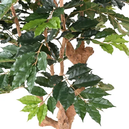 CAFEIER artificiel 180 cm - feuilles