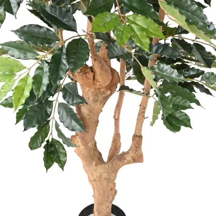 CAFEIER artificiel 180 cm - tronc