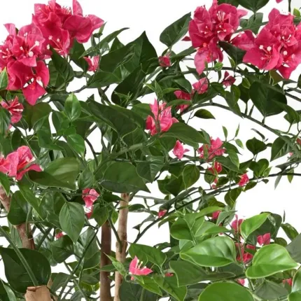 BOUGAINVILLIER artificiel 280 cm fushia - fleurs