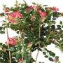 BOUGAINVILLEE artificiel racine 160 cm - feuillage