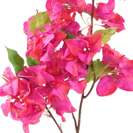 Branche de BOUGAINVILLEE artificielle 70 cm fuschia - détail