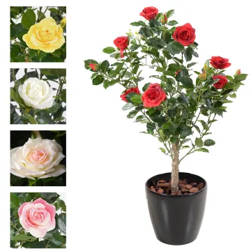 ROSIER artificiel Royal 100 cm