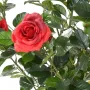 ROSIER artificiel Royal 100 cm rouge - fleurs