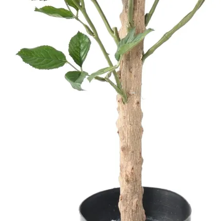 ROSIER artificiel Royal 100 cm - tronc