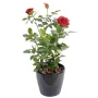rosier-artificiel-royal-60-cm