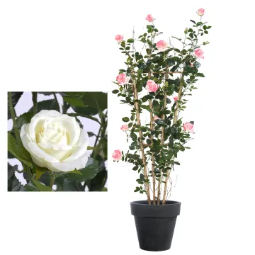 ROSIER royal artificiel PALISSADE  160 cm blanc ou rose