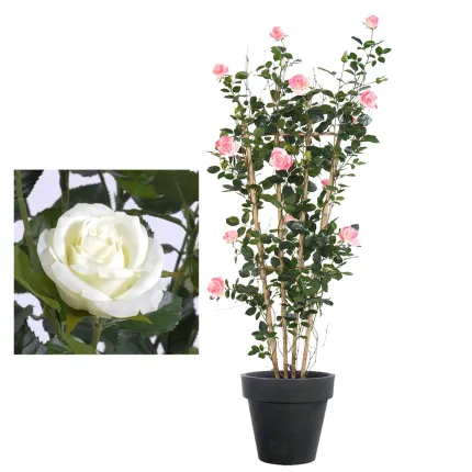 ROSIER royal artificiel PALISSADE  160 cm blanc ou rose