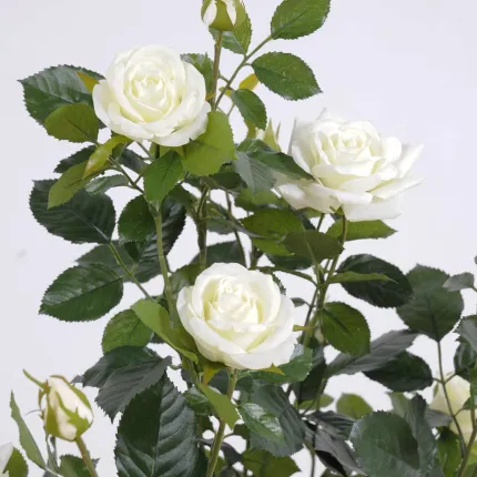 ROSIER royal artificiel PALISSADE  160 cm blanc - feuillage