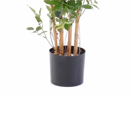 ROSIER royal artificiel PALISSADE  160 cm