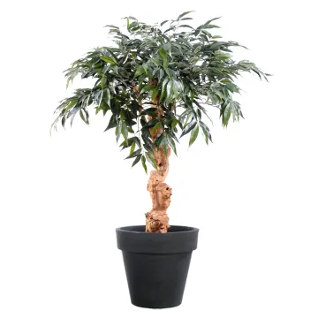 SHIRAKASHI artificiel umbrella ou chêne blanc artificiel 95 cm - dans un pot