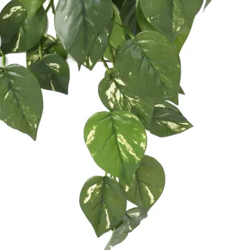 feuilles POTHOS chute artificiel 75 cm