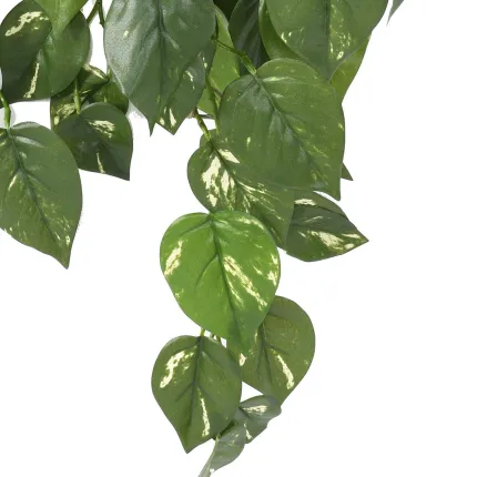 feuilles POTHOS chute artificiel 75 cm