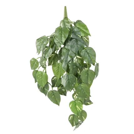 POTHOS chute artificiel 75 cm