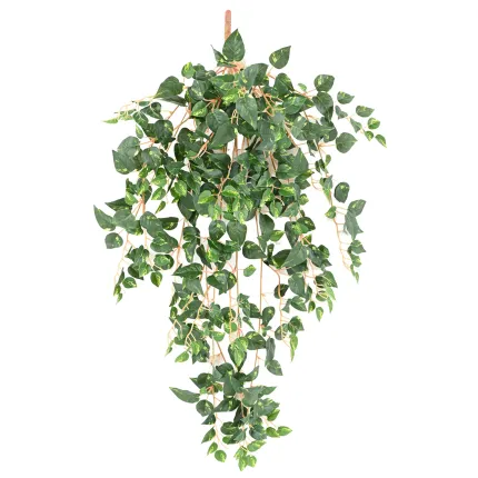 POTHOS chute artificiel panaché petites feuilles 70 cm