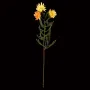 PHAENOCOMA artificiel  jaune orange 61 cm - en tige