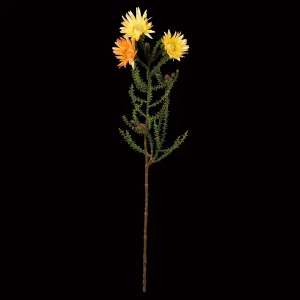 PHAENOCOMA artificiel  jaune orange 61 cm - en tige