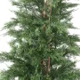 CYPRES DE LAWSON 210 cm - feuilles