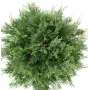 CYPRES artificiel lawson BOULE 50 cm - feuillage