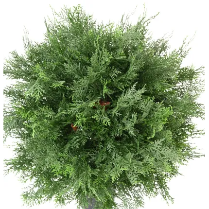 CYPRES artificiel lawson BOULE 50 cm - feuillage