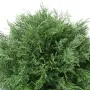 feuilles CYPRES artificiel lawson BOULE 70 cm