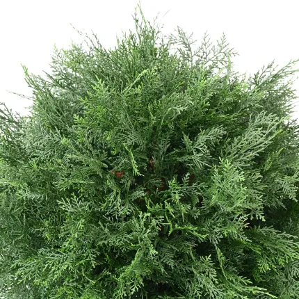 feuilles CYPRES artificiel lawson BOULE 70 cm