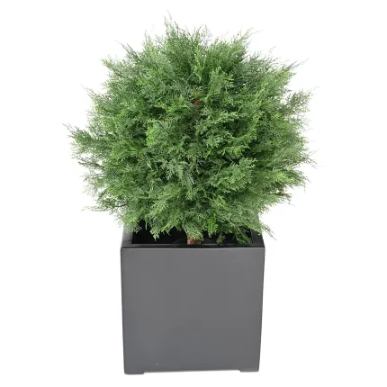 CYPRES artificiel lawson BOULE 50 à 80 cm