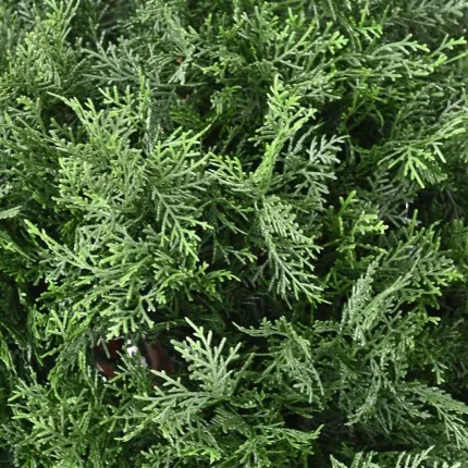 CYPRES artificiel lawson BOULE 50 à 80 cm