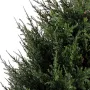 feuilles CYPRES artificiel 65 cm vert (junipérus)