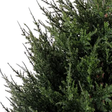 feuilles CYPRES artificiel 65 cm vert (junipérus)