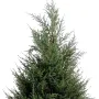 CYPRES artificiel 65 cm vert (junipérus) - partie haute