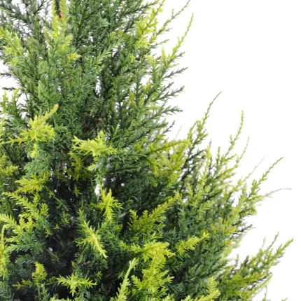 CYPRES artificiel 65 cm vert 2 tons (junipérus) - coté
