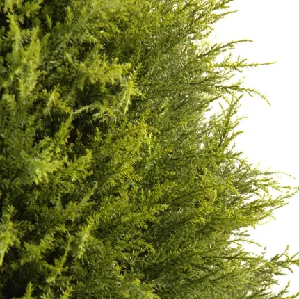 CYPRES  artificiel ( junipérus) 105 à 160 cm - feuillage