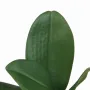 détail Feuilles de PHALAENOPSIS artificielle  25 cm
